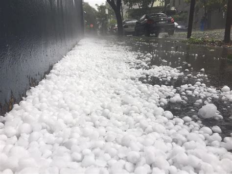 Sydney Hailstorm ‘catastrophe Damage Clean Up Weather Forecast