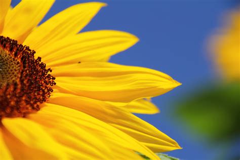 À paris, on parle même de l'exode annuel qui vide la capitale: Coaching des 4 saisons: l'été | Ithaque Coaching