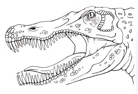 Some of the colouring page names are coloring pictures to color kids drawing ideas discover volcano world of, coloring pictures to color kids drawing ideas prehistoric jurassic world, 66 best images about dinosaur on lego jurassic world jurassic world and dinosaur mask, jurassic park 4 coloring coloring. Spinosaurus coloring, Download Spinosaurus coloring for ...