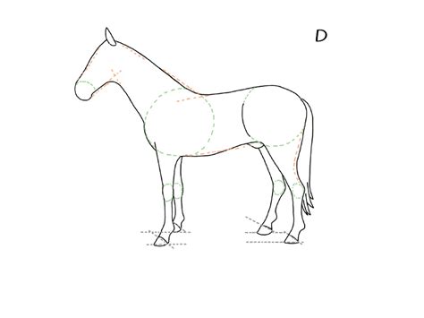Disegnare un cavallo astratto significa rappresentare in modo non realistico l'immagine che conosciamo di un cavallo. Come disegnare un cavallo - DeAbyDay.tv