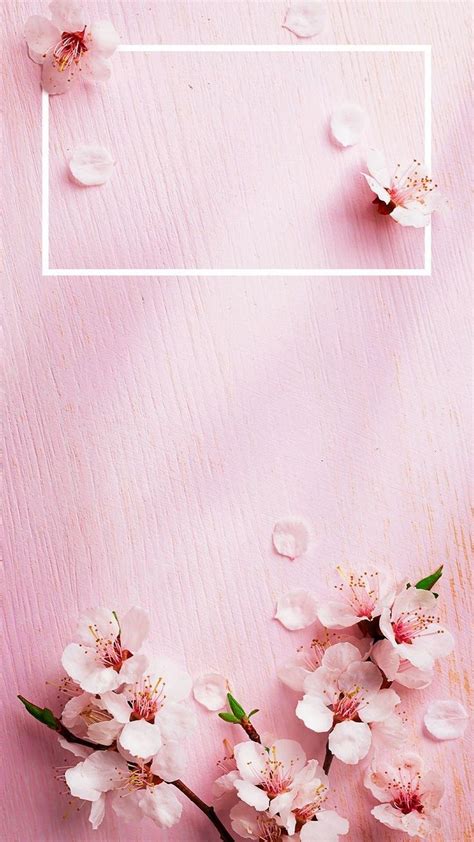 10 Best Wallpaper For Iphone 7 Rose Gold Full Hd 1080p For Pc
