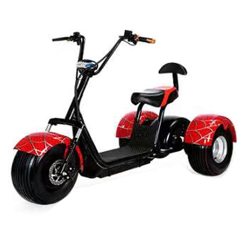 China High Quality 1000w E Trike 3 Wheel Electric Tricycle For Adult