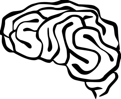 Free Brain Drawing Cliparts Download Free Brain Drawing Cliparts Png