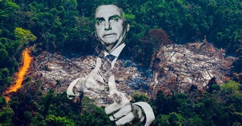 Desmatamento na Amazônia cresce e Ciro aponta crime de Bolsonaro