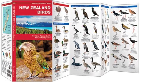 New Zealand Birds Pocket Naturalist Guide