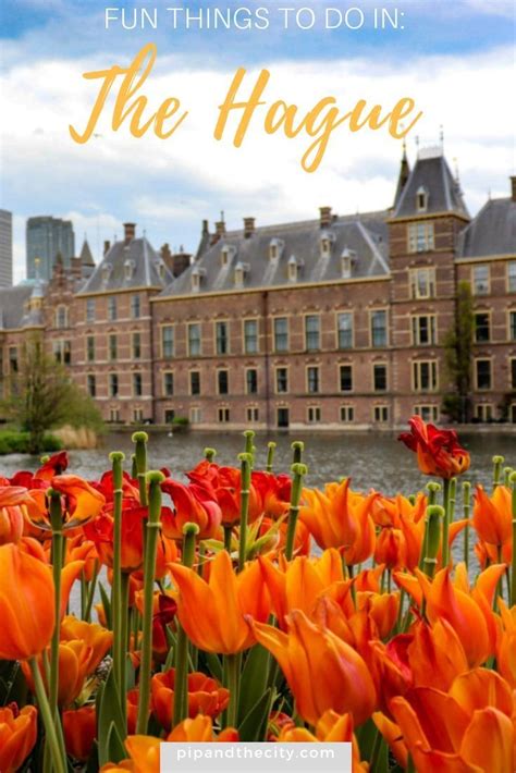 bumper guide to fun things to do in the hague a royal dutch city netherlands travel cool