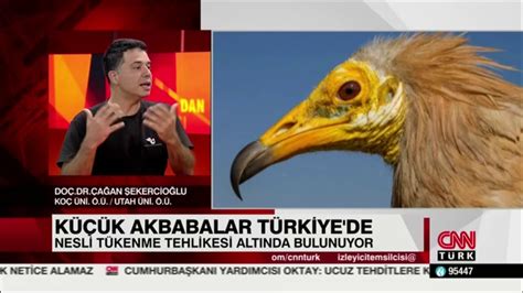 CNN Türk 7 18 KuzeyDoğa Derneği nin uydudan takip ettiği küçük