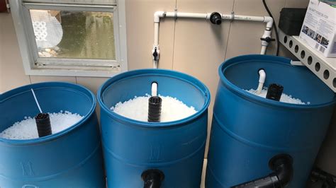 Diy 3 Barrel Filter System For Koi Pond Adding Media And Starting Up