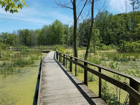 goldenshoe RV trip: Maumee Bay State Park