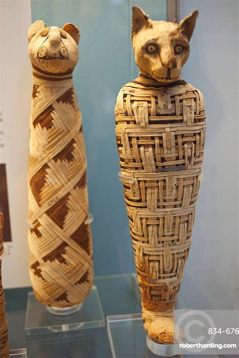 Egyptian Animal Mummies British Museum Stock Photo