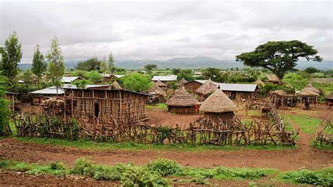 Village Africain Banque Dimages Et Photos Libres De Droit Istock
