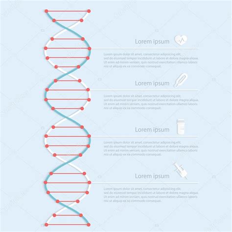 Dna Banner Science Infographics Stock Vector By ©gapchukolesia 64125957