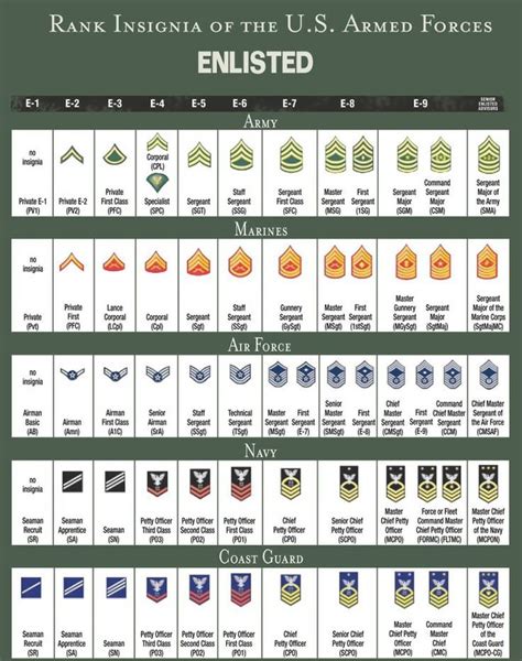 Rank Structure And Insignia Of Enlisted Military Personnel For All