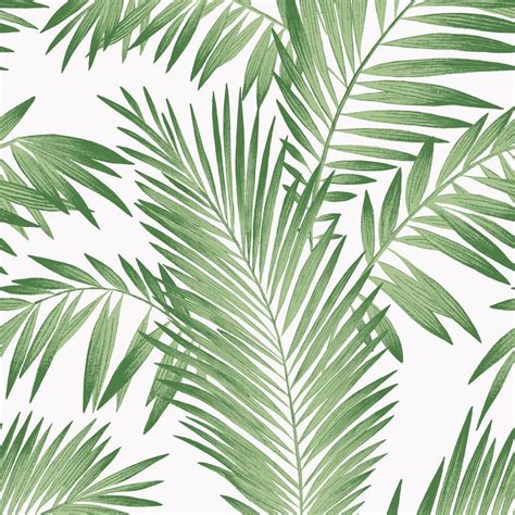Aesthetic Palm Leaves Wallpapers Top Free Aesthetic Palm Leaves