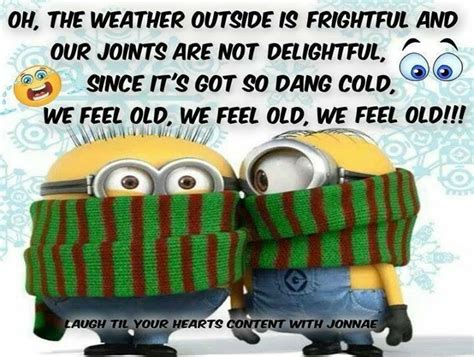Pin By Mary Miller On Cartoon Image Cold Weather Funny Minions Funny