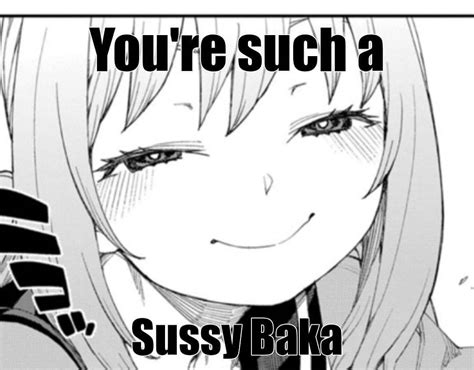 you re such a sussy baka sussy baka know your meme