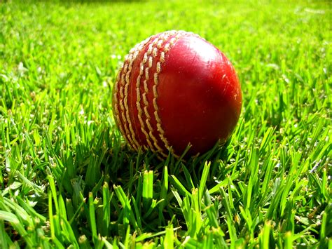 Fichier:Cricket ball on grass.jpg &mdash; Wikip&eacute;dia