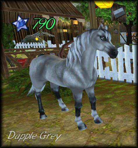 Star Stable Morgan Star Stable Help