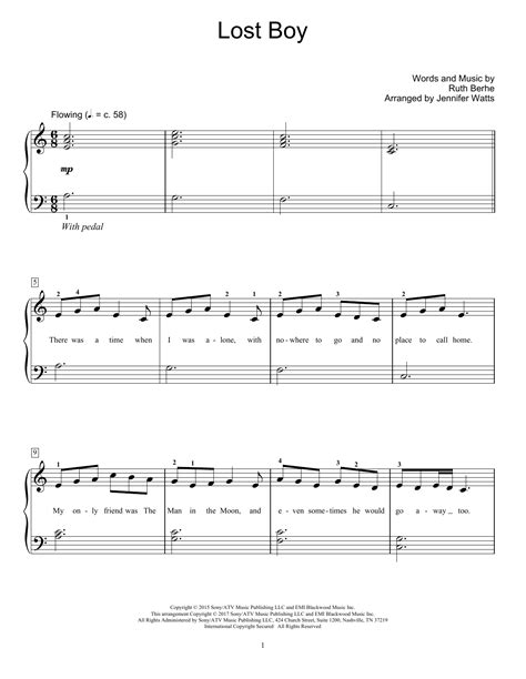 These easy clarinet music pieces are composed for clarinet based in bb. Ruth B - Lost Boy sheet music