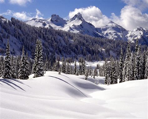 Free Download Winter Wonderland Dreamy Snow Scene Wallpaper 1280x1024