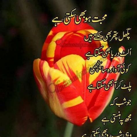 Mohabbat Ho Bhi Sakti Hai Mohabbat Shayari Urdu Sad Poetry