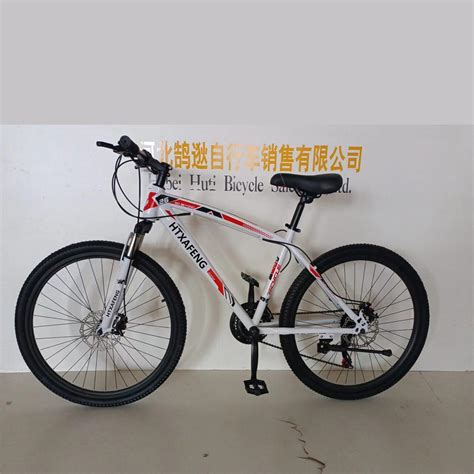 Oem Cheap Bicycle China Mountain Bike 21speed Cycle Full Suspension