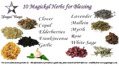 10 Magickal Herbs For Blessing Spells All Available From Pagan