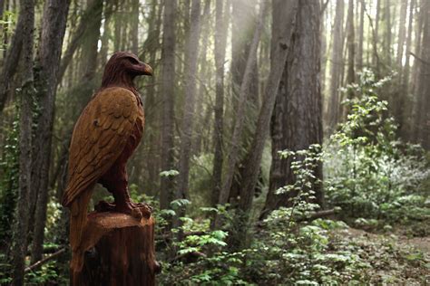 Forest Amble Sculpture Walk | Visit Hurunui