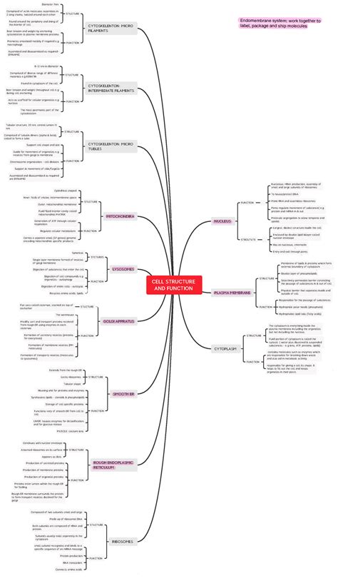 Cell Structure And Function Mind Map Cell Structure And Function