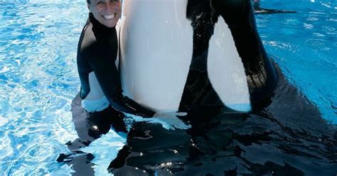 More images for how did dawn brancheau die » Sea World trainer Dawn Brancheau killed by orca Tilikum ...