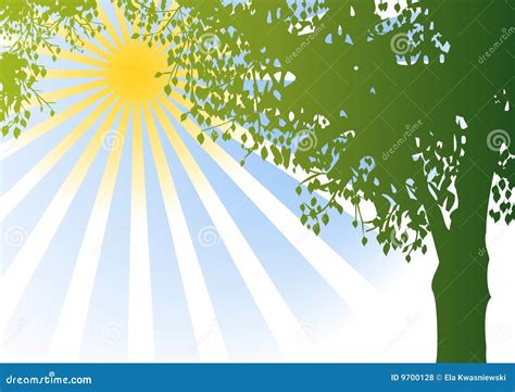 Vector Tree And Sunshine Stock Vector Illustration Of Space 9700128