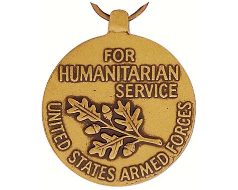 Humanitarian Service Medal Approved Operations 2021 Asa Shepard