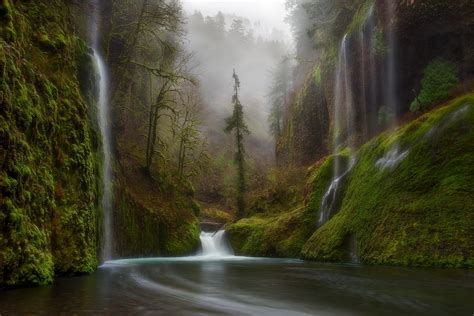 Banco De Imágenes Gratis Cascada De Agua Cristalina En El Bosque