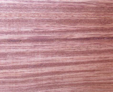 Bubinga Exotic Wood Cr Muterspaw Lumber