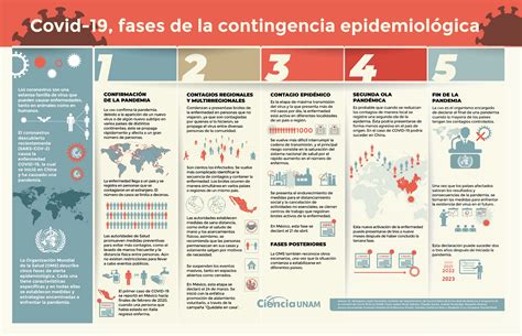 Coronavirus De Pandemia A Endemia ¿cómo Vivir Esta Nueva Fase