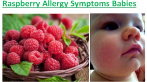 Raspberry Allergy Rash Pictures Raspberry