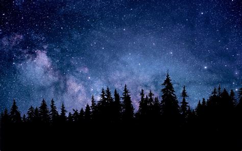 Starry Forest Wallpapers Top Free Starry Forest Backgrounds