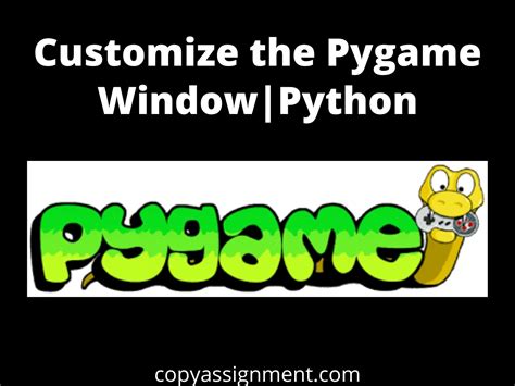 Customize The Pygame Windowpython Copyassignment