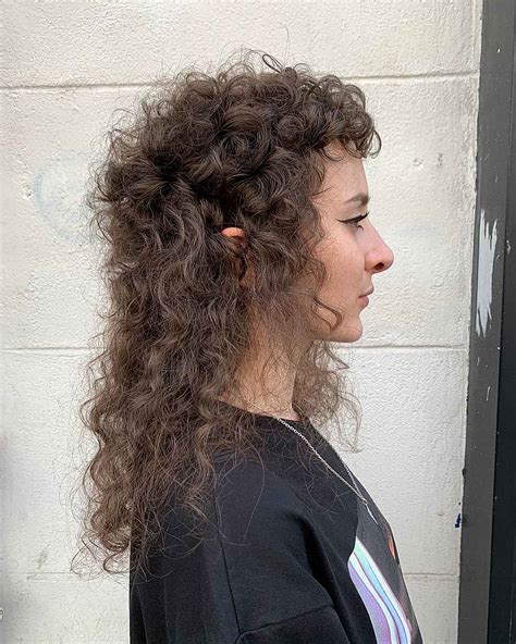 26 Modern Mullet Hairstyles for Girls with Curly Hair - Hairstyles VIP