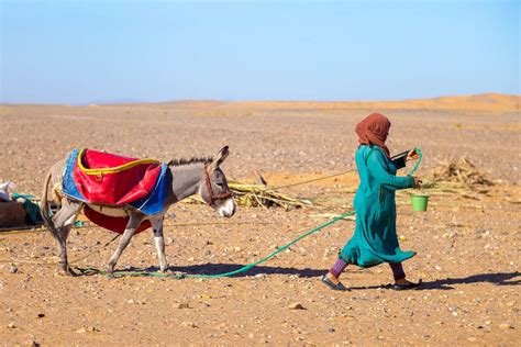 Nomads In Sahara Open Doors Morocco