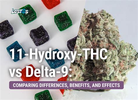 11 Hydroxy Thc Vs Delta 9 Comparison Guide