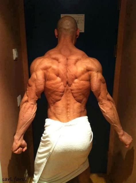 The back muscles can be three types. 33 best images about The Back Anatomy on Pinterest | Back ...