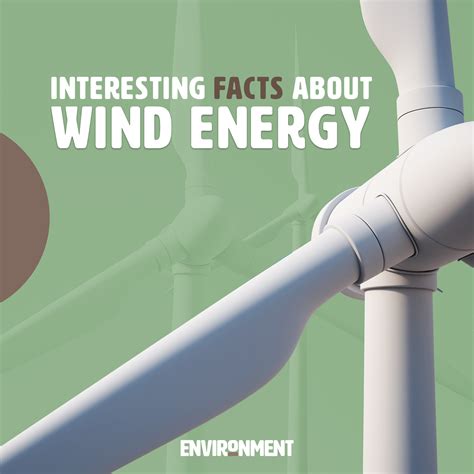 Interesting Facts About Wind Energy Environment Co