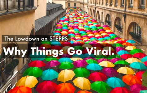 The Lowdown On Stepps Why Things Go Viral Enabler Space