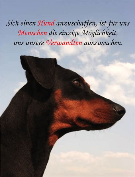 Maybe you would like to learn more about one of these? Sprüche Hund Mensch Beziehung | Sprüche Kurz 2020