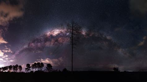 Wallpaper Nature Landscape Night Milky Way Stars Trees Clouds
