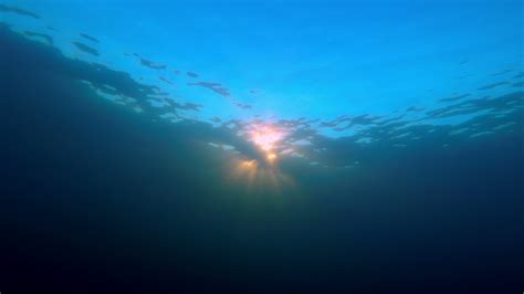 Underwater Scene Of Sunset 4575387 Stock Video At Vecteezy
