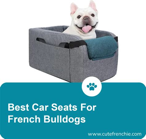 Best French Bulldog Car Seat Cute Frenchie Top Notch Guides And Tips
