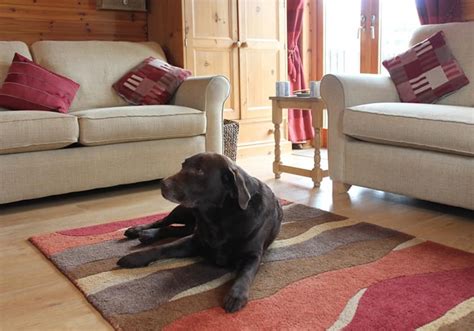 The other major type of peak district log cabins you can choose from are those located in their own holiday park. Peak District Log Cabins | Derbyshire | HDK Events | HDK