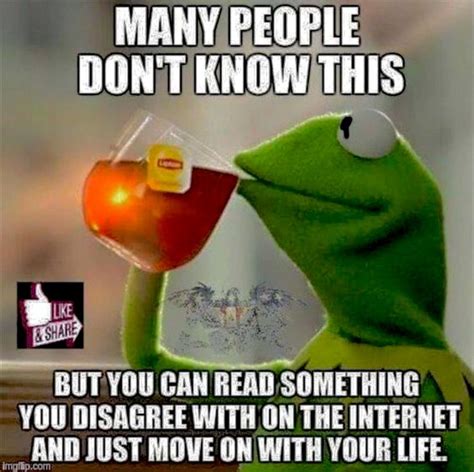 203 Best Images About Kermit The Frog Quotes On Pinterest Free
